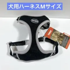 Item thumbnail for item 6605b95a-e0e2-43f7-b2b5-a1bf9885191b