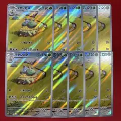 ハヤシガメ AR 10枚　　まとめ売り