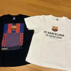 Item thumbnail for item 69d5577f-8322-4b5f-913f-6784023c5c02