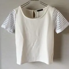 Item thumbnail for item b95d8930-6654-4f68-b3da-e12fe11055e1