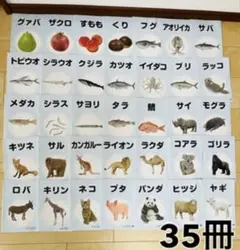 【非売品】ベビーパーク ピクチャーブックレット 35冊セット 知育玩具 受験