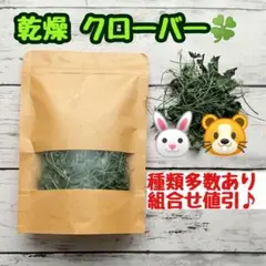 Item thumbnail for item 3ee10a5f-0a4b-4859-be28-3cb41e57b77a