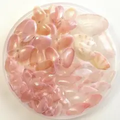 さくら貝セット