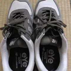 Item thumbnail for item 15dea1b6-f1f1-41f7-88fb-f171979b65c9