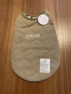 Item thumbnail for item ee311c85-be39-4740-9ce5-34bed3a5082d