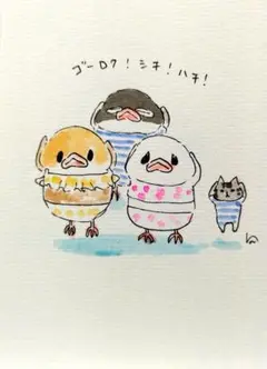 じゅうんびたいそお　8/26 7（原画）ポストカードのみ