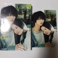 きみの瞳が問いかけている 小説　初ばん　ポストカード付き！