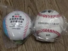 2025 第107回全国高校野球選手権大会記念 記念ボール