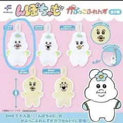 んぽちゃむ　かぷっこふれんず