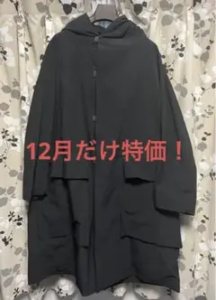 最終値下げ8万2千円 TEATORA (テアトラ) DATA DOME BR