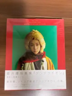 蒼井優 写真集 ダンデライオン