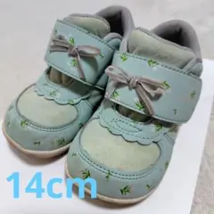 Item thumbnail for item b301a5f6-49e7-42fc-8544-33bb48a7c032