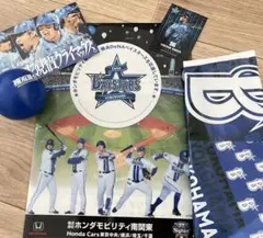 横浜ベイスターズ 各種　ボール　ファイル　ポストカード　トレカ