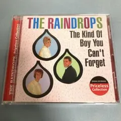 カインド・オブ・ボーイ・ユー・キャント・フォーゲット／レインドロップス