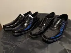 Item thumbnail for item 152d9657-bacc-4d0d-95b9-b937f4979e82