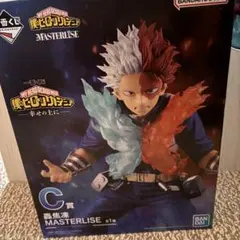 Item thumbnail for item 5f7bc366-852a-4207-a447-15ecbdcb8db5