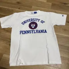 【美品】champion チャンピオンT1011 penn ペンシルバニア　US