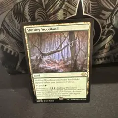 変容する森林　英語　MTG