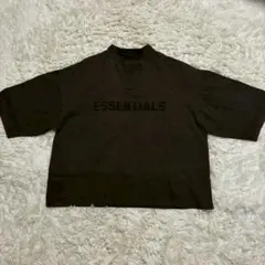 美品/XL相当　ESSENTIALS ヘビーウェイトTシャツ ダークグレー