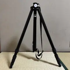 Item thumbnail for item 5e101f67-22f2-4616-af55-06e744230b7f