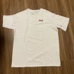 Patagonia Lサイズ Tシャツ