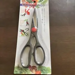 Item thumbnail for item 4847ff2b-28fc-4912-aba1-02130ccc57a0