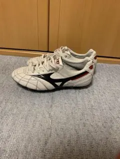 モレリア2イージーオーダー 25.5cm