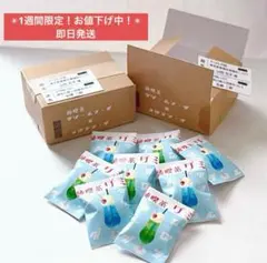 ミニチュアフード　ミニチュア