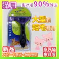 Item thumbnail for item ba8f79c8-845c-45c6-969f-6c509a88bb97
