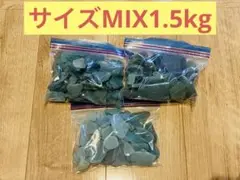 【大容量】天然シーグラス　グリーン系【サイズMIX】