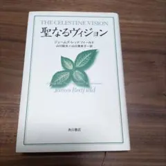 聖なるヴィジョン