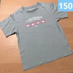 ユニクロ　Tシャツ　150