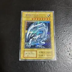 遊戯王　青眼の白龍　シークレットレア　シクブル