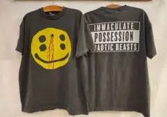 tシャツ グレー セントマイケル　スマイル　ぶち抜き