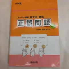スーパー講義 英文法・語法 正誤問題