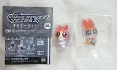 ブロッサム セット