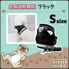 Item thumbnail for item 747c6158-d92e-4710-8a6f-972c7e484181