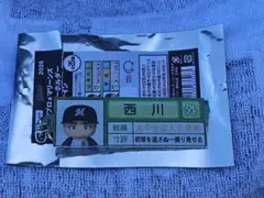 千葉ロッテマリーンズ パワプロマリーンズ アクリルキーホルダー 栄冠ナイン