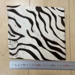 Item thumbnail for item b5c924a5-2ee8-4d17-9155-3312efcb6b11