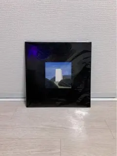 Ogre You Asshole Homely レコード2LP 未使用