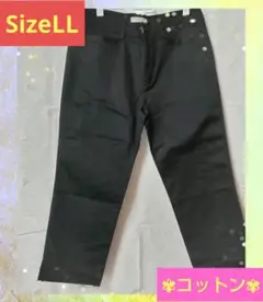 【✨夏セール✨☆1点限り】レディスコットン ハーフパンツ ブラック サイズLL