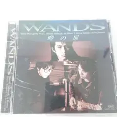 R230　WANDS 時の扉 CD