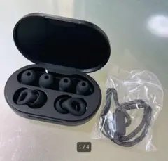 Item thumbnail for item 2f428c38-2411-4dd8-89a9-4ce979452e35