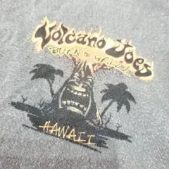 crazu rhirt Volcano Joes メンズTシャツ 230666