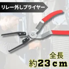 Item thumbnail for item 0267266e-edb1-4c8f-b8ac-3390c086218f