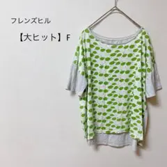 【大ヒット】フレンズヒル　ドルマン　Tシャツ　ドロップショルダー　りんご柄　F