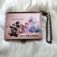 美品 東京ディズニーリゾート 35周年 パスケース