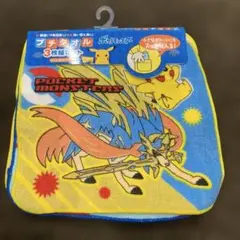 ポケットモンスター プチタオル3枚組