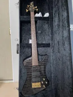 やなぎかわ　　ESP サンダーバード５弦　　2 やなぎかわ 様専用 ESP サンダーバードシェイプ 5弦ベース