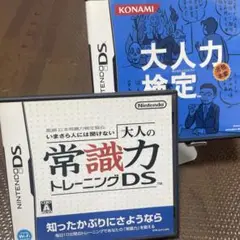 大人力検定 大人の常識力トレーニングDS